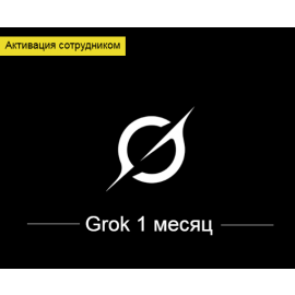 Grok Super 1 month (Employee activation)